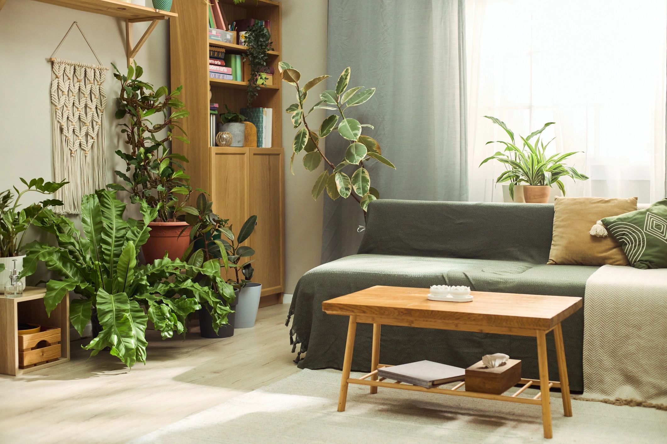 Calm wellness-inspired interior with natural light and plants